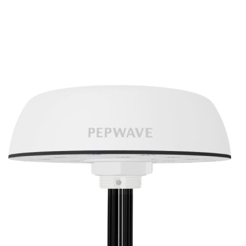Pepwave antenna.