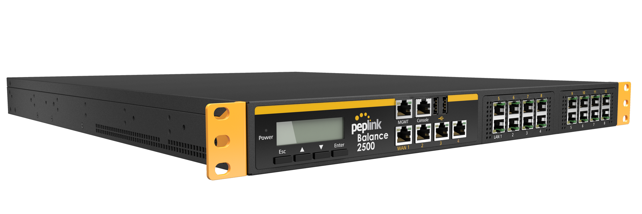 Peplink Balance 2500